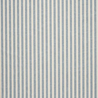 Tkanina Thurloe Stripe by Colefax and Fowler F4903