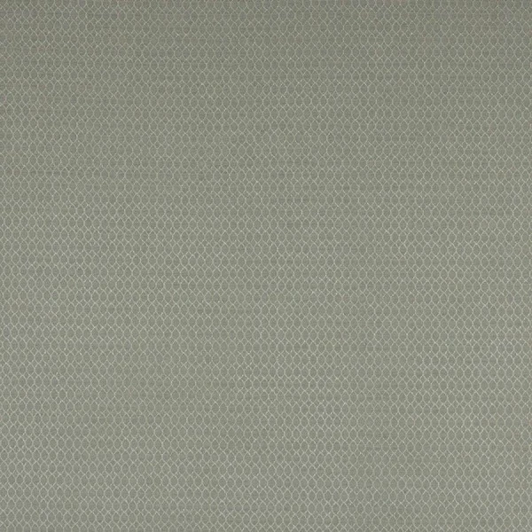 Tkanina Arlette by Colefax and Fowler F4769
