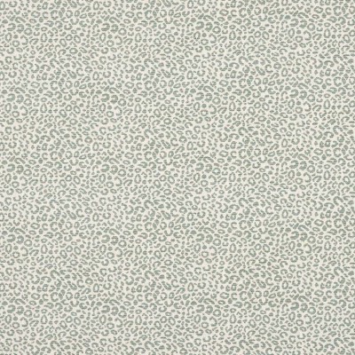 Tkanina Baxter by Colefax and Fowler F4886