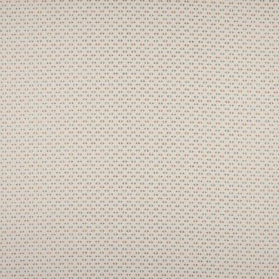 Tkanina Denbury by Colefax and Fowler F4875