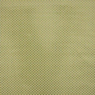 Tkanina Romilly by Colefax and Fowler F4926
