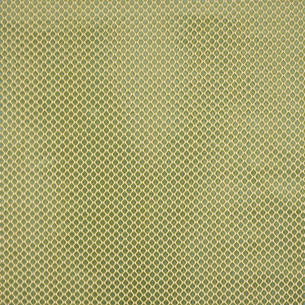 Tkanina Romilly by Colefax and Fowler F4926