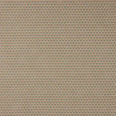 Tkanina Woodberry by Colefax and Fowler F4847