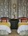 Tkanina Arbour by Colefax and Fowler F4855