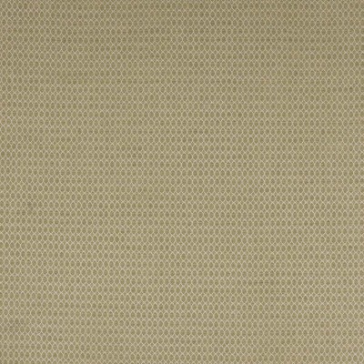 Tkanina Arlette by Colefax and Fowler F4769