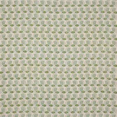 Tkanina Ashmead by Colefax and Fowler F4759