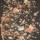 Tkanina Belmont Trail by Colefax and Fowler F4952