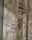 Tkanina Bucknall by Colefax and Fowler F4942
