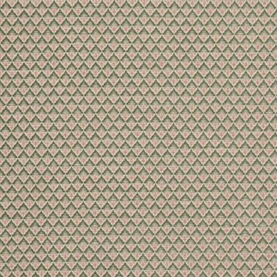 Tkanina Carlotta by Colefax and Fowler F4788