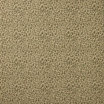 Tkanina Chester by Colefax and Fowler F4854