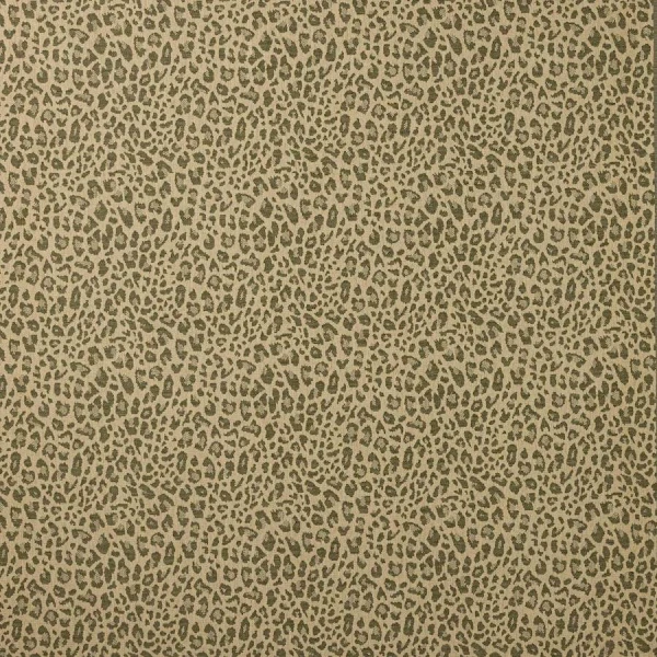 Tkanina Chester by Colefax and Fowler F4854