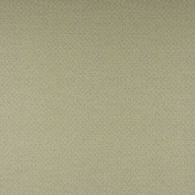 Tkanina Clancey by Colefax and Fowler F4863