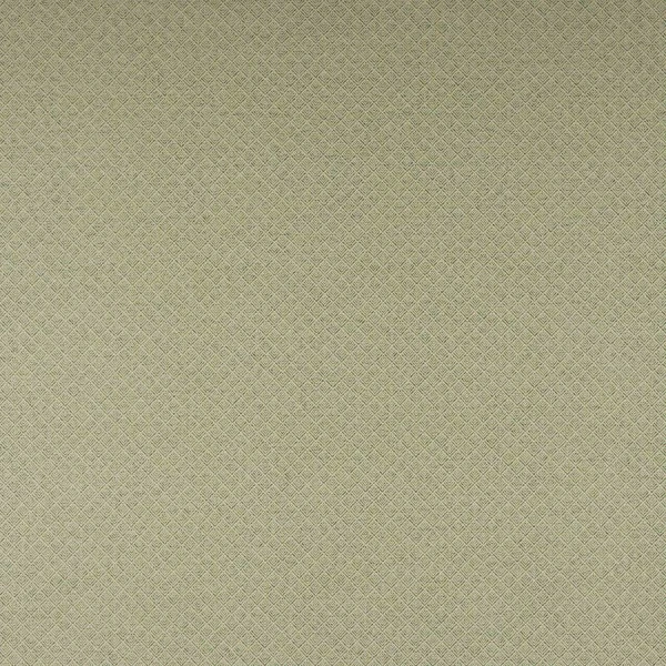 Tkanina Clancey by Colefax and Fowler F4863