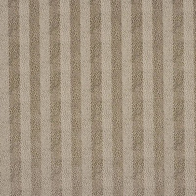 Tkanina Clarence by Colefax and Fowler F4898