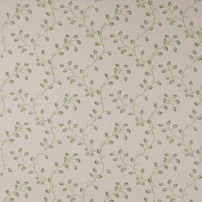 Tkanina Colyton by Colefax and Fowler F4756