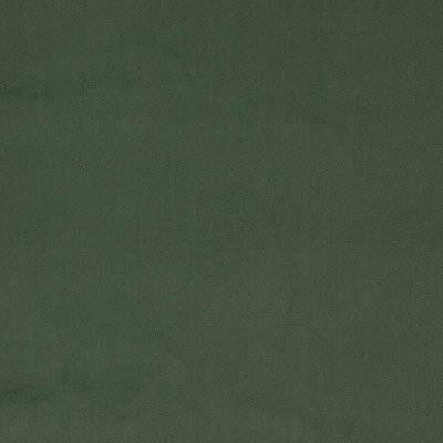 Tkanina Dante by Colefax and Fowler F4797
