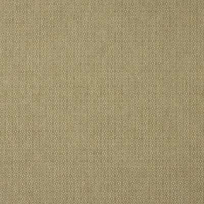 Tkanina Finmere by Colefax and Fowler F4848
