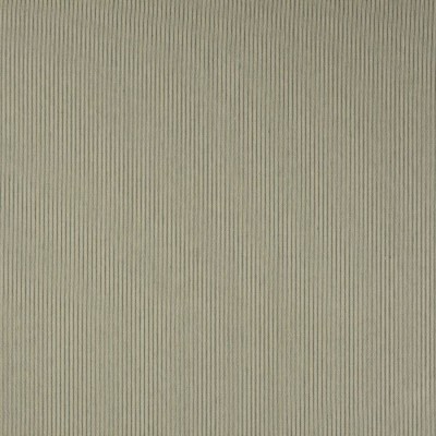 Tkanina Hardy Stripe by Colefax and Fowler F4760
