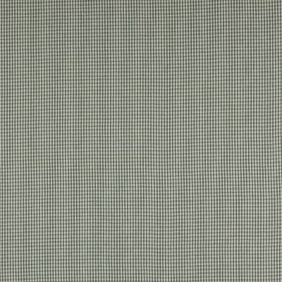 Tkanina Jay Check by Colefax and Fowler F4762