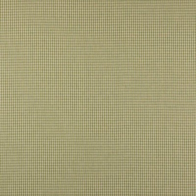 Tkanina Jay Check by Colefax and Fowler F4762