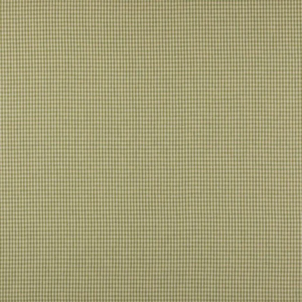 Tkanina Jay Check by Colefax and Fowler F4762
