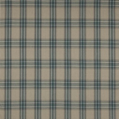 Tkanina Lamorna Check by Colefax and Fowler F4761
