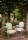 Tkanina Leaf Stripe by Colefax and Fowler F4749