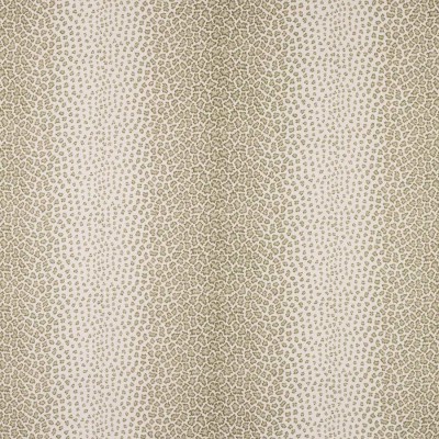 Tkanina Livingstone by Colefax and Fowler F4868