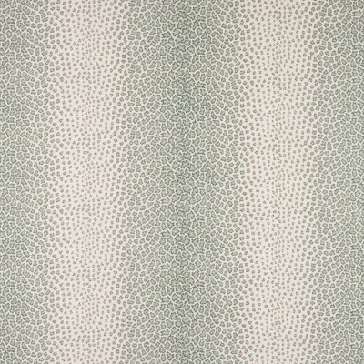 Tkanina Livingstone by Colefax and Fowler F4868