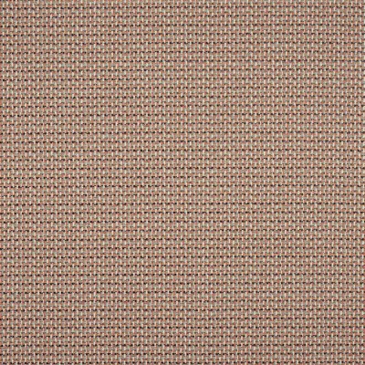 Tkanina Lucena by Colefax and Fowler F4894