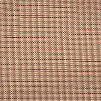 Tkanina Lucena by Colefax and Fowler F4894
