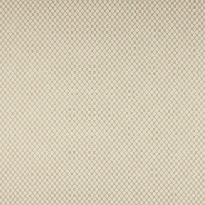 Tkanina Radnor by Colefax and Fowler F4874