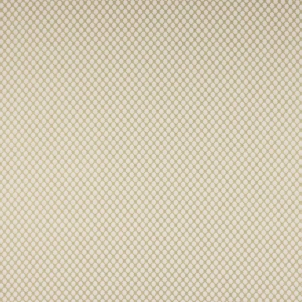 Tkanina Radnor by Colefax and Fowler F4874