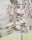 Tkanina Seraphina Linen by Colefax and Fowler F4821