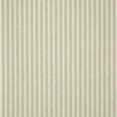 Tkanina Thurloe Stripe by Colefax and Fowler F4903