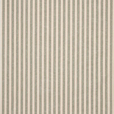 Tkanina Thurloe Stripe by Colefax and Fowler F4903