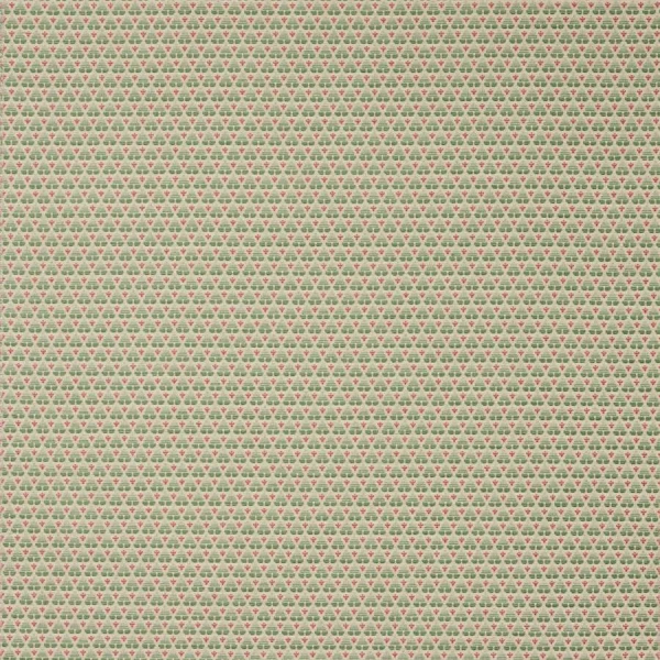 Tkanina Woodberry by Colefax and Fowler F4847