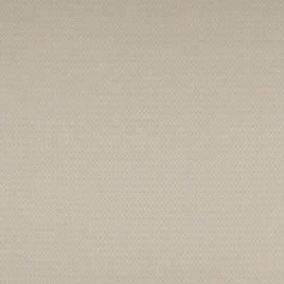 Tkanina Arlette by Colefax and Fowler F4769