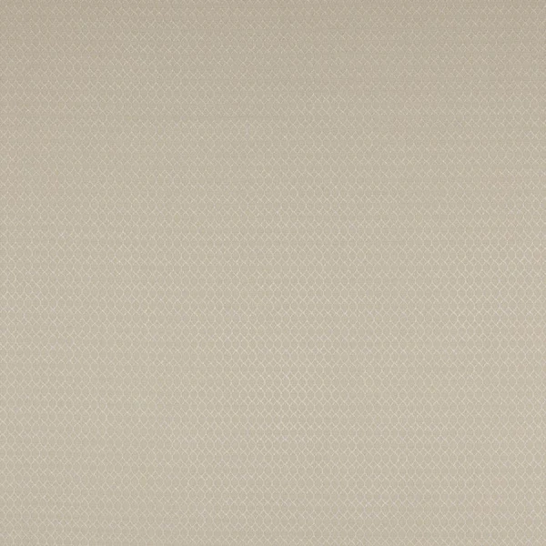 Tkanina Arlette by Colefax and Fowler F4769