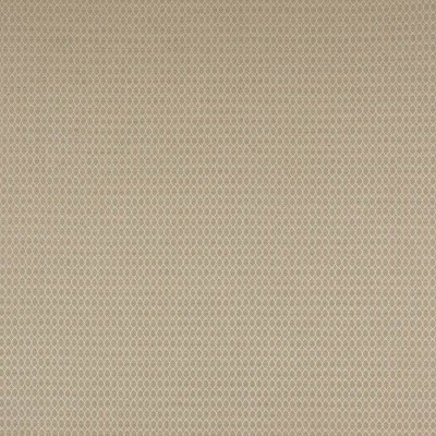 Tkanina Arlette by Colefax and Fowler F4769