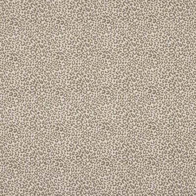 Tkanina Baxter by Colefax and Fowler F4886