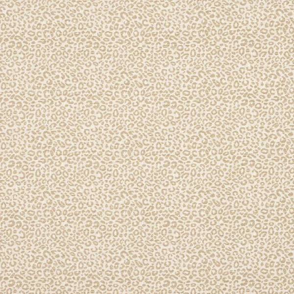 Tkanina Baxter by Colefax and Fowler F4886
