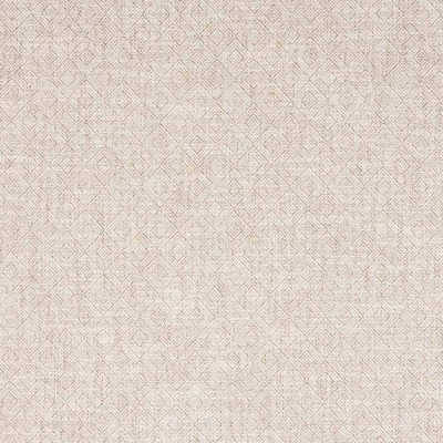 Tkanina Berenson by Colefax and Fowler F4885