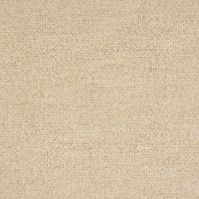 Tkanina Berenson by Colefax and Fowler F4885