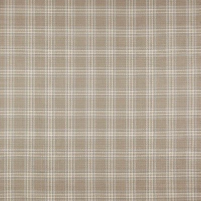 Tkanina Bowen Check by Colefax and Fowler F4723
