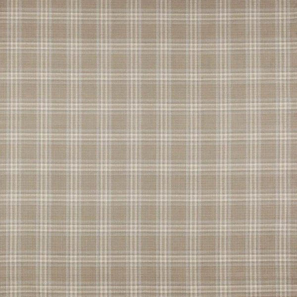 Tkanina Bowen Check by Colefax and Fowler F4723