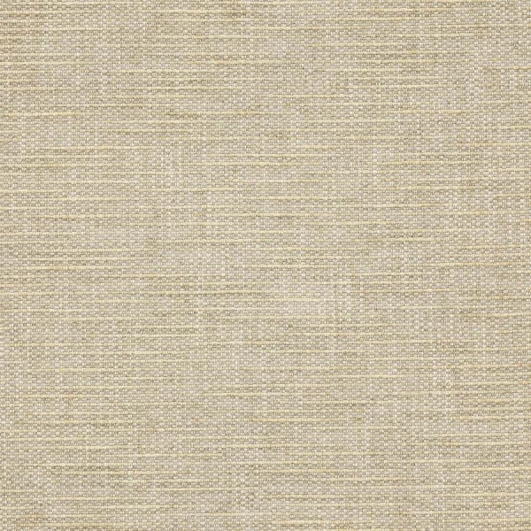 Tkanina Brandon by Colefax and Fowler F4684