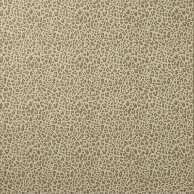 Tkanina Chester by Colefax and Fowler F4854
