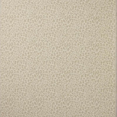 Tkanina Chester by Colefax and Fowler F4854