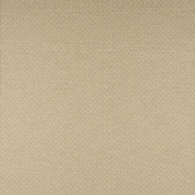 Tkanina Clancey by Colefax and Fowler F4863